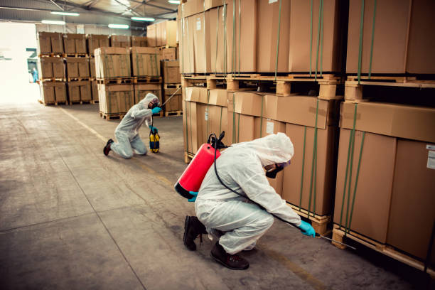 Best Best Pest Control Companies  in Lakeville, MN