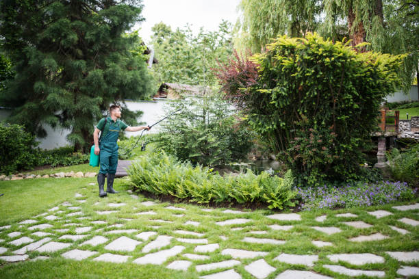 Wasp Removal Services in Lakeville, MN