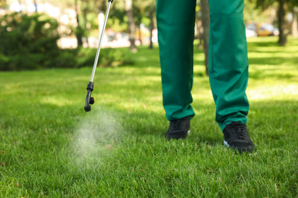 Best Flea Control Services  in Lakeville, MN