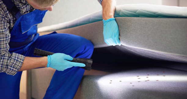 Best Flea Control Services  in Lakeville, MN