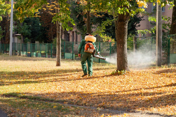 Trusted Lakeville, MN Pest Control Experts