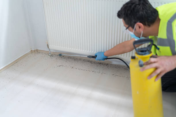 Best Pest Removal Services  in Lakeville, MN